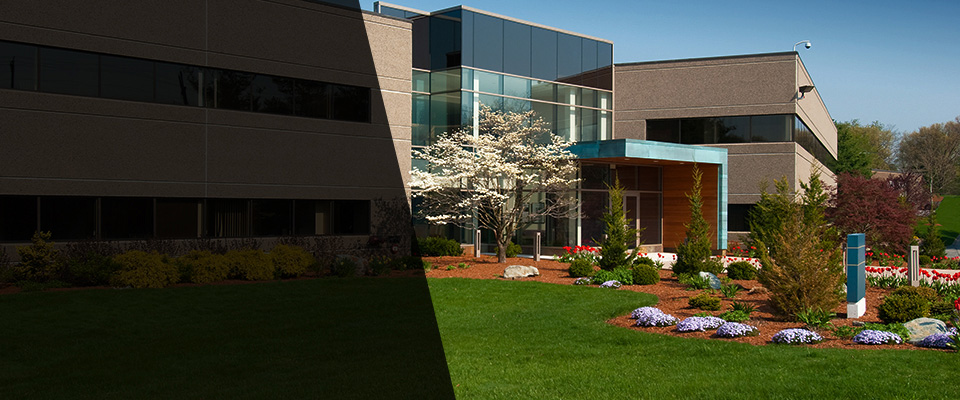 Issaquah Landscapers