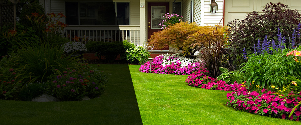 Issaquah Landscapers