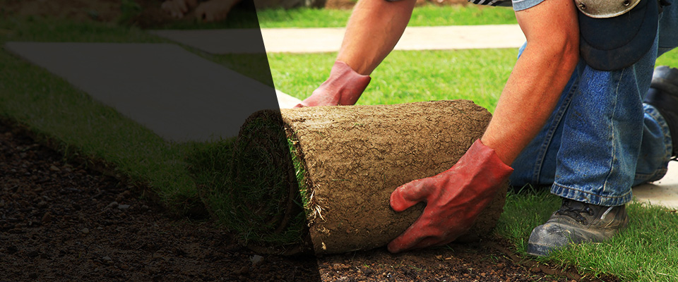 Issaquah Landscapers